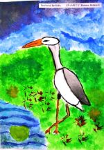 Paučinová Pavlínka.jpg